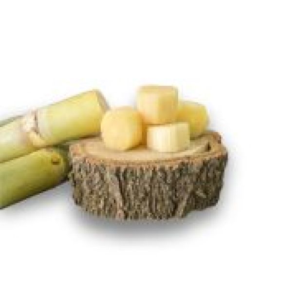 શેરડી ક્યુબ (Sugarcane cube)