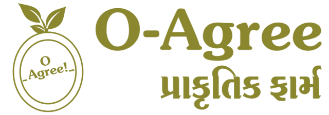 શરબતી ટુકડી ઘઉં (Sarbati Tukadi Ghau)
